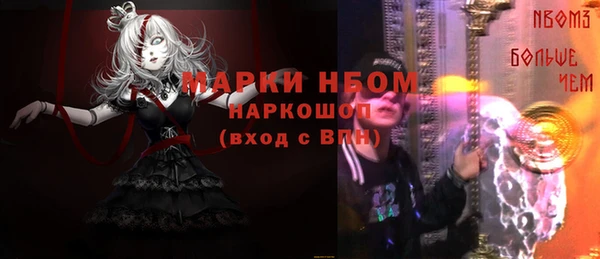 гашик Гусь-Хрустальный