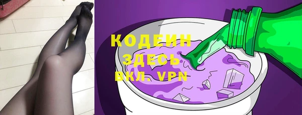 гашик Гусь-Хрустальный