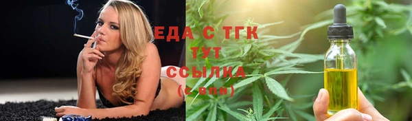 гашик Гусь-Хрустальный