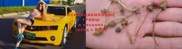 a pvp Горнозаводск