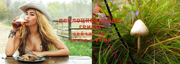 a pvp Горнозаводск