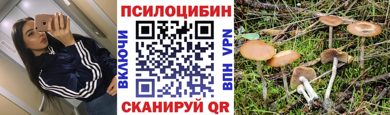 Купить закладки  Верещагино  Галлюциногенные грибы Cubensis 